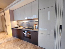 Cuscaden Reserve (D10), Condominium #446351191